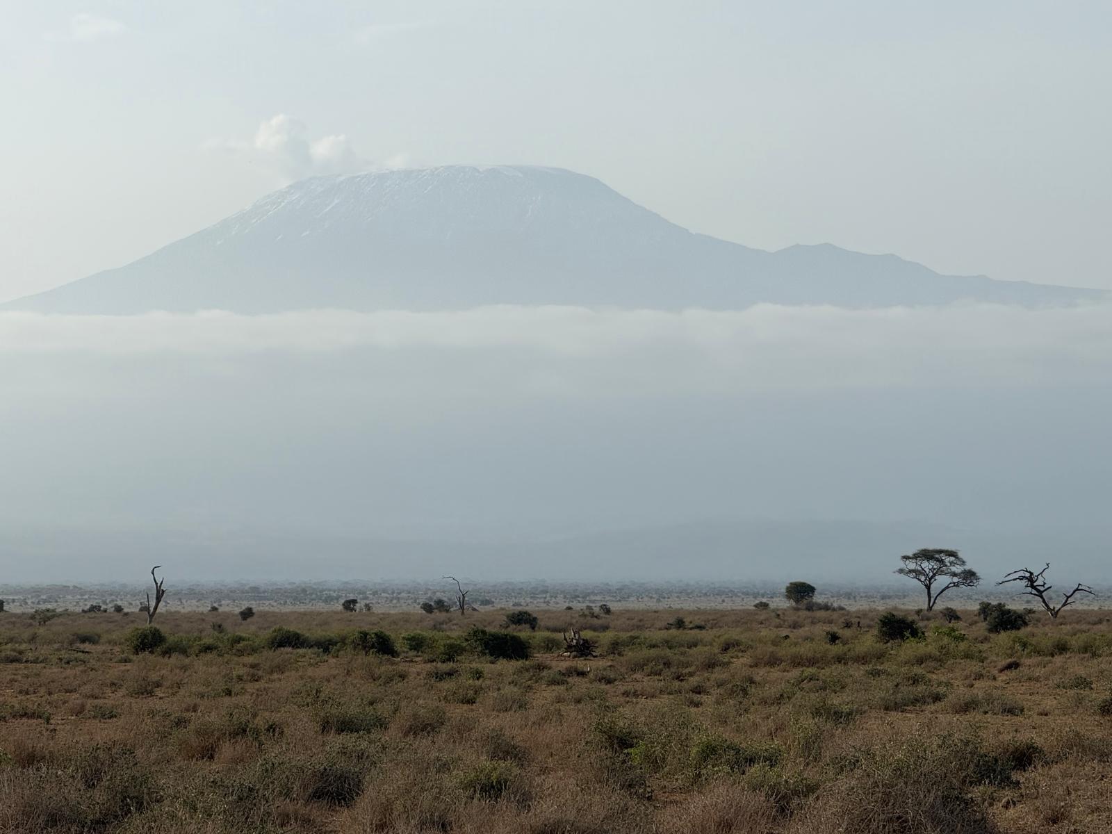 Customized safari adventures across Kenya